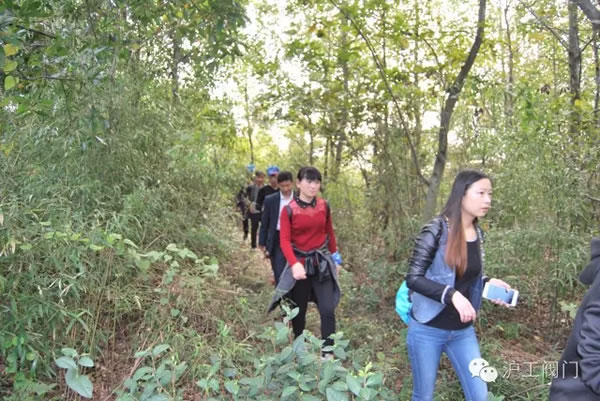 上海滬工閥門廠2016年秋季徒步毅行活動(dòng) 圖4