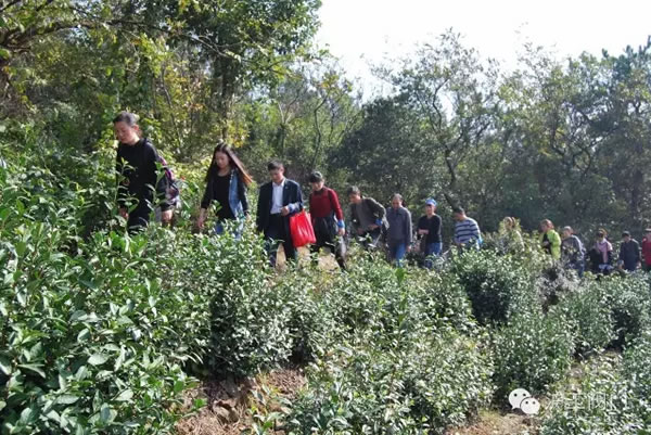 上海滬工閥門廠2016年秋季徒步毅行活動(dòng) 圖5