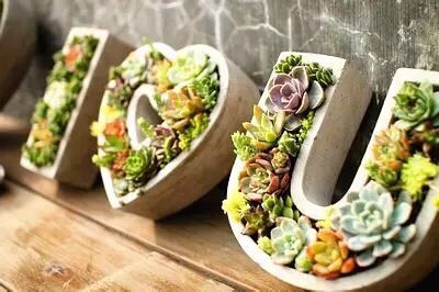 華亭鎮(zhèn)團委聯(lián)合上海滬工閥門廠開展微景觀綠植DIY活動(圖1)