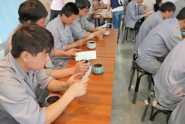 華亭鎮(zhèn)團委聯(lián)合上海滬工閥門廠開展微景觀綠植DIY活動(圖3)