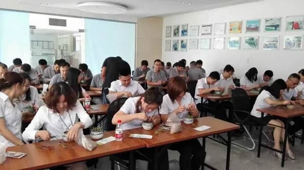 華亭鎮(zhèn)團委聯(lián)合上海滬工閥門廠開展微景觀綠植DIY活動(圖4)