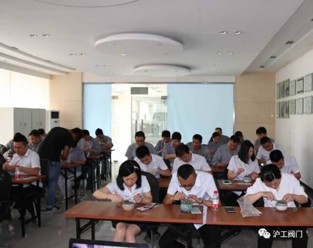 華亭鎮(zhèn)團委聯(lián)合上海滬工閥門廠開展微景觀綠植DIY活動(圖5)