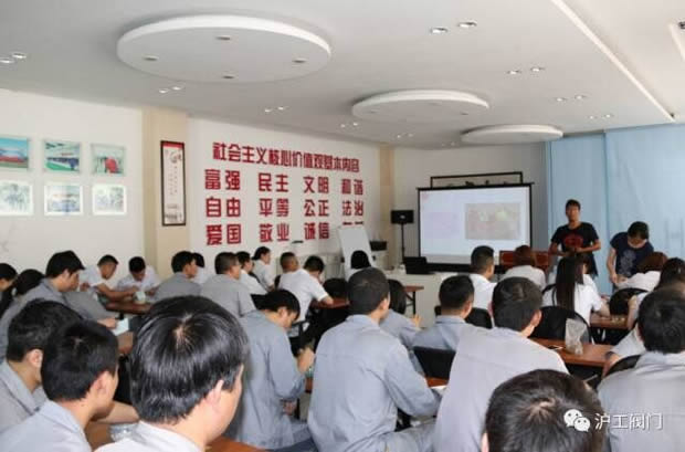 華亭鎮(zhèn)團委聯(lián)合上海滬工閥門廠開展微景觀綠植DIY活動(圖6)