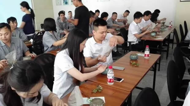 華亭鎮(zhèn)團委聯(lián)合上海滬工閥門廠開展微景觀綠植DIY活動(圖7)