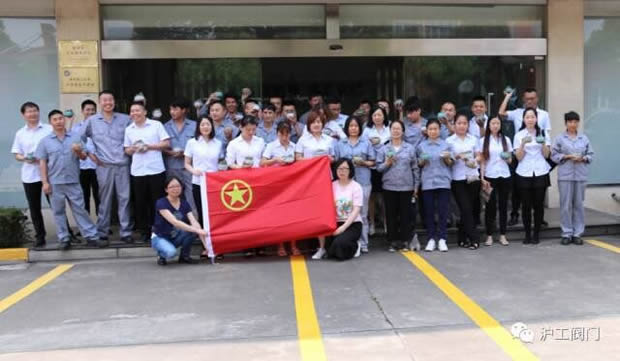 華亭鎮(zhèn)團委聯(lián)合上海滬工閥門廠開展微景觀綠植DIY活動(圖8)