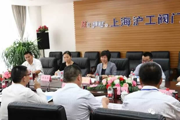 嘉定區(qū)副區(qū)長陸祖芳等領(lǐng)導(dǎo)一行蒞臨我公司視察指導(dǎo)工作(圖2)