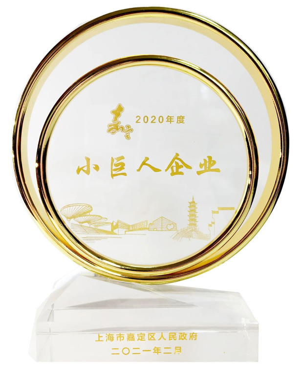 上海滬工閥門(mén)廠(chǎng)嘉定區(qū)小巨人榮譽(yù)獎(jiǎng)杯