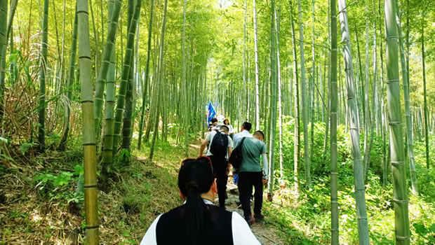 上海滬工閥門廠2024安吉章里古道戶外徒步活動(dòng)(圖3)